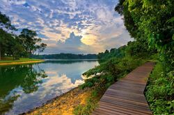 Lornie Road (D11), Detached #459848141